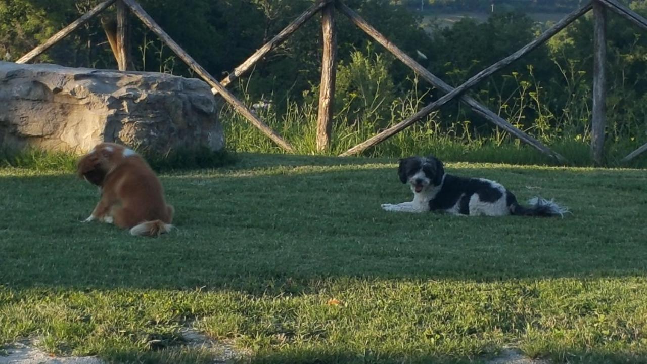 Agriturismo Countryhouse Le Giare Gubbio Exterior photo